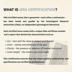 ÉCLATINE Quiey Luxury Halo Moissanite Pendant Necklace (1.0ct | 925 Silver)