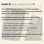 ÉCLATINE Trio 3-Stone Moissanite Earrings (925 Silver · White Gold Plated)